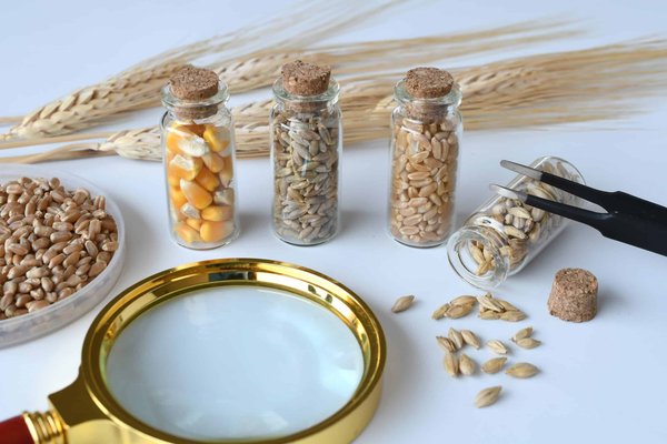 Peut-on assurer une carrière artistique ou sportive ?